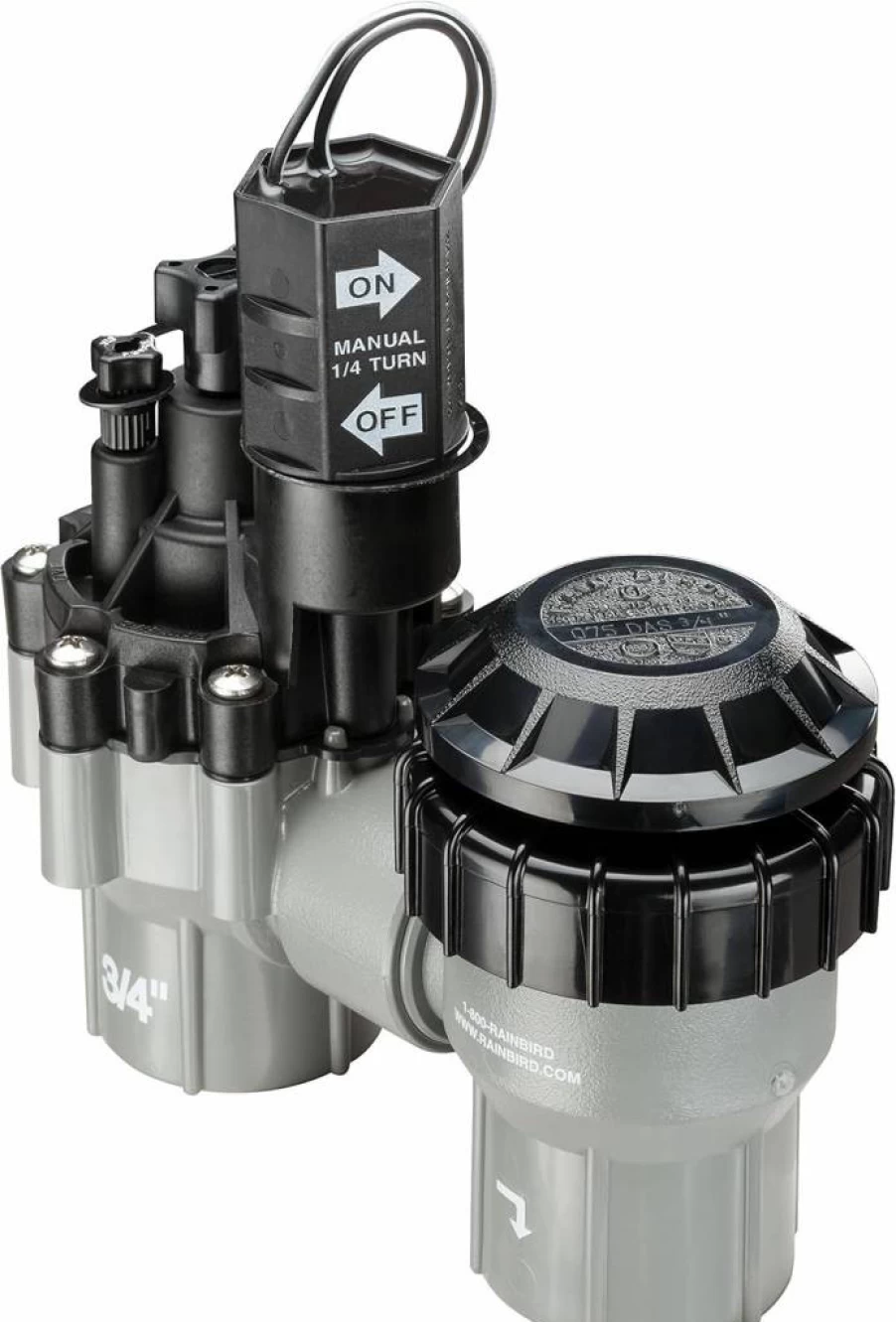 Rain Bird 1" Female Threaded Anti-Siphon Valve with Flow Control - Professional Grade DASASVF100